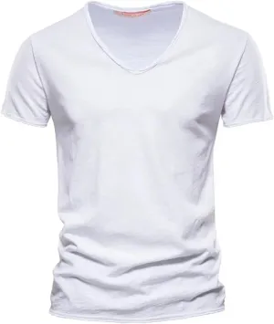 Mens Resort Wear 2025 Short Sleeve T Shirt Trendy V Neck Summer Tee Tops Casual Solid Color Classic T-Shirts